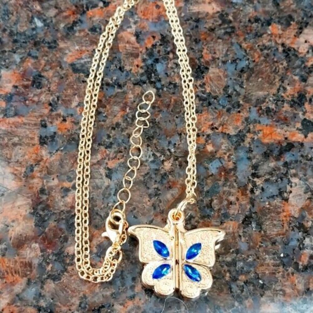 Butterfly WITH Secret Message...New